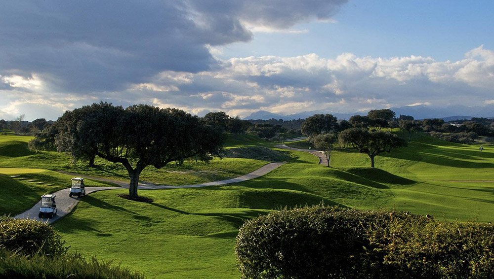 Real Sociedad Hípica Española Club de Campo - Image 3