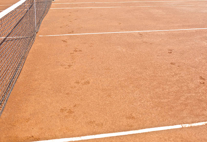 Real Sociedad Hípica Española Club de Campo - Image 6