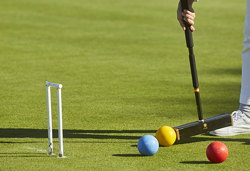 Real Sociedad Hípica Española Club de Campo - Image 5